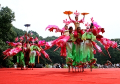 2013年南京國(guó)際梅花節(jié)演出照片